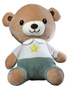 Premium Beautiful Teddy Bear Soft Plush Toy (1+ Year)