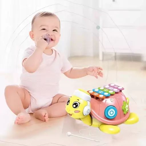 Tortoise Piano Musical Toy for Kids (18+ Months)