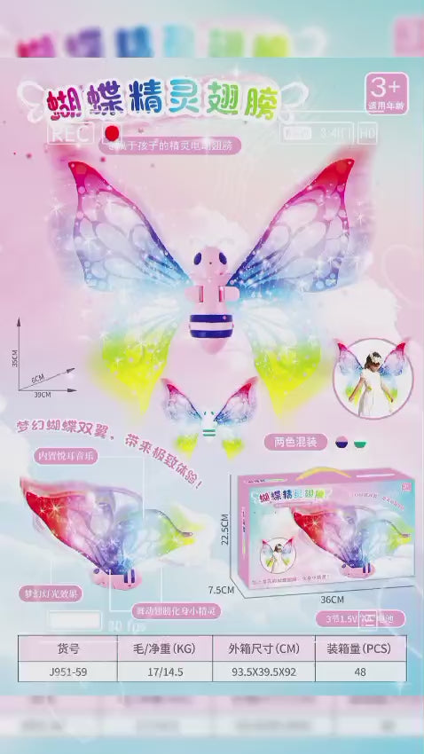 Butterfly Wings with Music & Cognitive Skills (3+ Years)